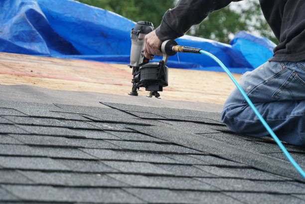 Best Metal Roofing Contractor  in Nocona, TX