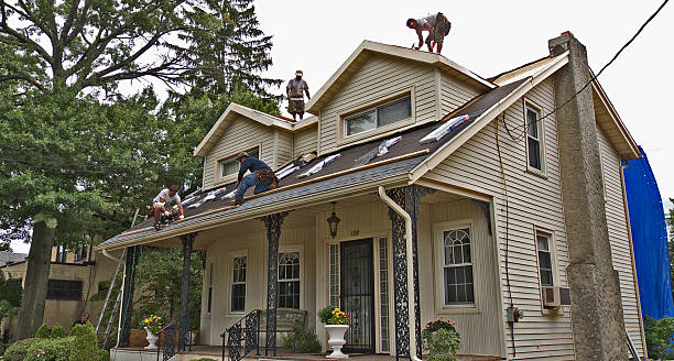 Best Roof Gutter Cleaning  in Nocona, TX