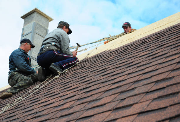 Gutter Installation and Roofing in Nocona, TX